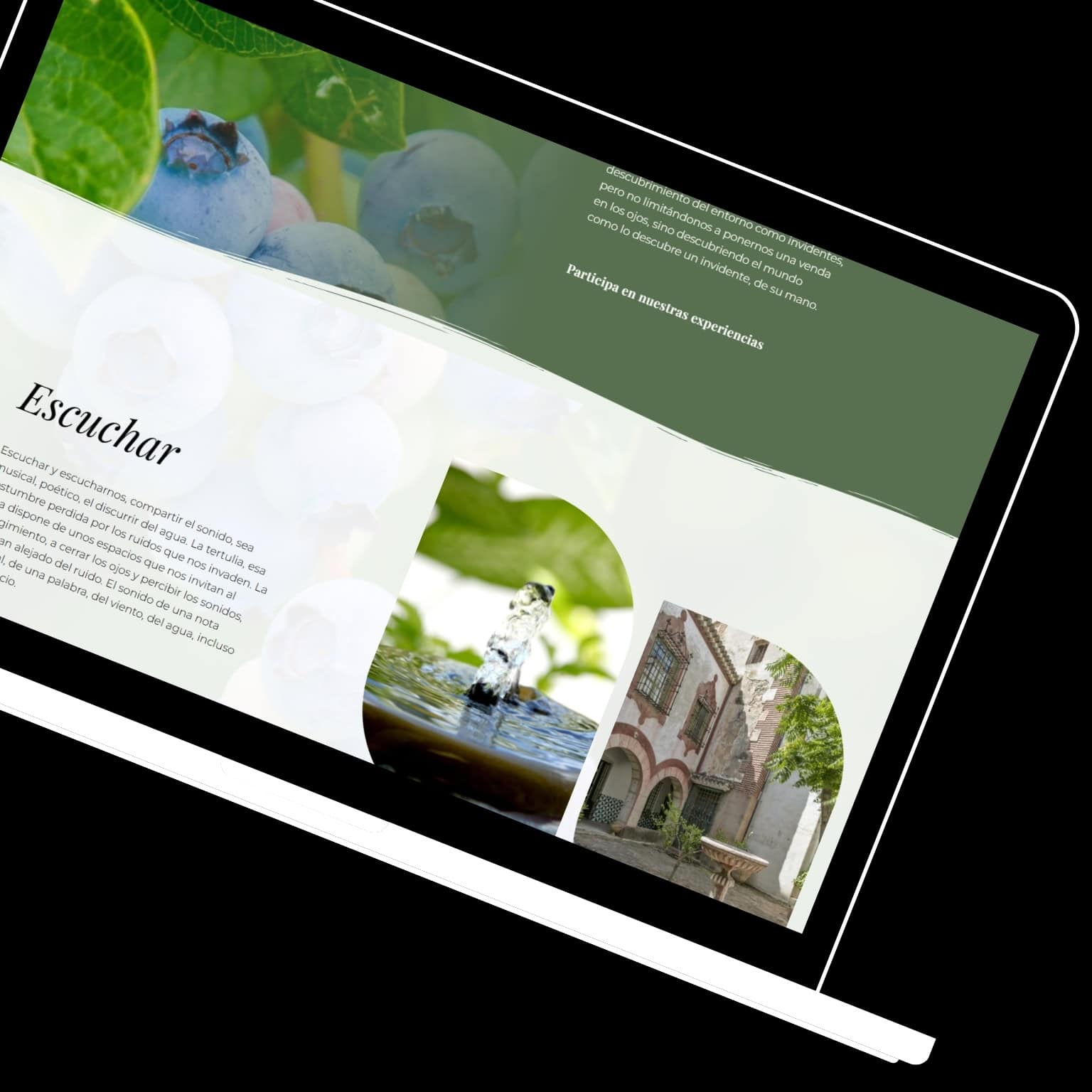 Diseno-web-y-desarrollo-redes-sociales-proyecto-B2B-ACTIVA-